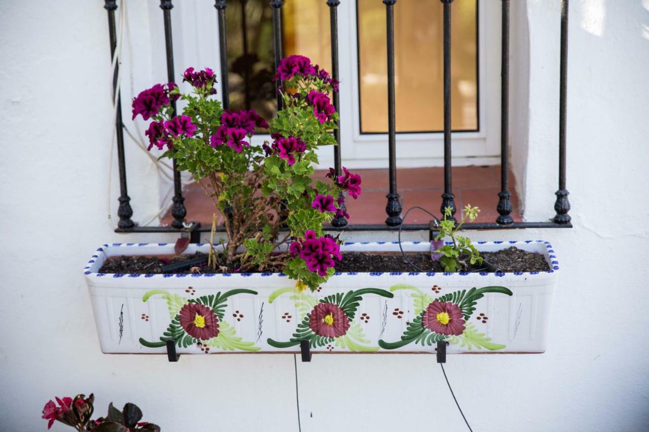 FuegoBlanco Bed and Breakfast Álora Eksteriør billede